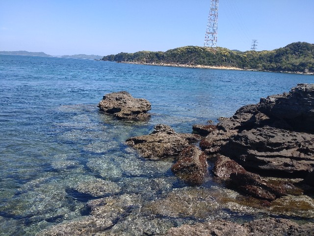f:id:isohae:20250504165540j:image