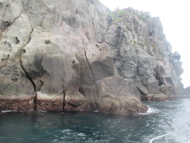 f:id:isohae:20250506073239j:image