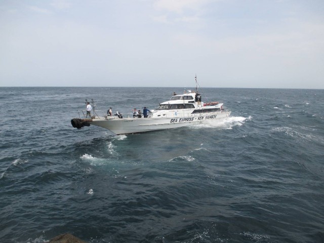 f:id:isohae:20250506073617j:image