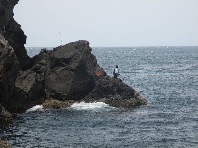f:id:isohae:20250506075610j:image