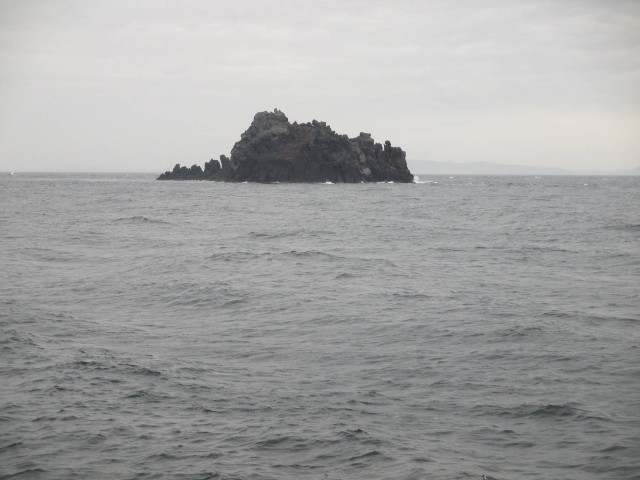 f:id:isohae:20250506080340j:image