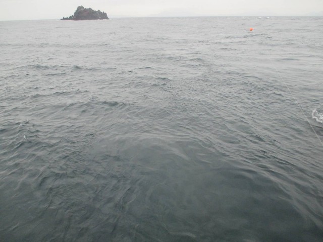 f:id:isohae:20250506164508j:image