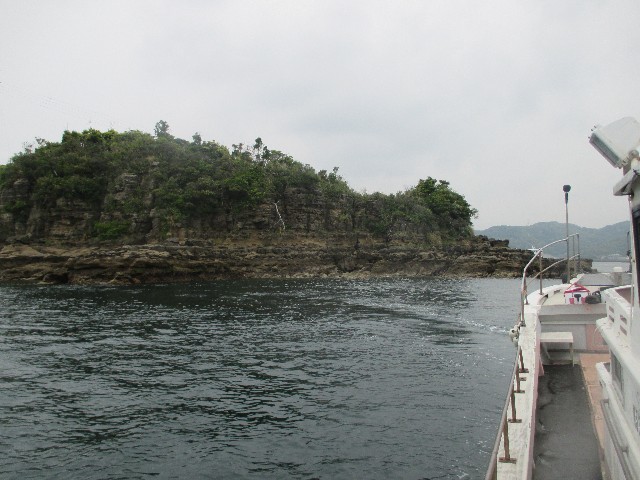 f:id:isohae:20250512063522j:image
