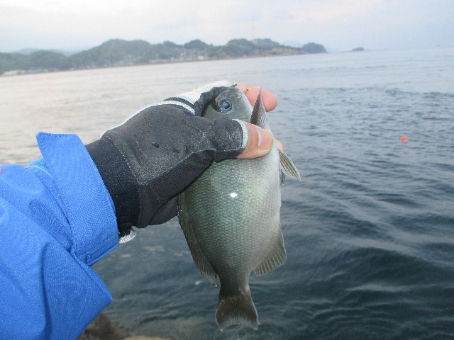 f:id:isohae:20250512065326j:image