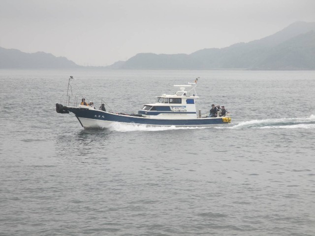 f:id:isohae:20250520064446j:image