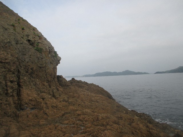 f:id:isohae:20250520075413j:image