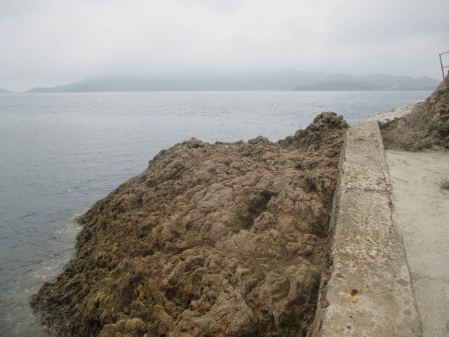 f:id:isohae:20250520075436j:image