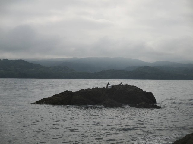 f:id:isohae:20250520235720j:image