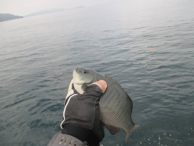 f:id:isohae:20250521000406j:image