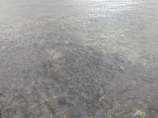 f:id:isohae:20250527075256j:image