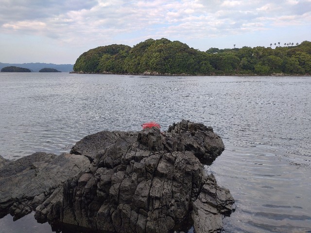 f:id:isohae:20250531154406j:image