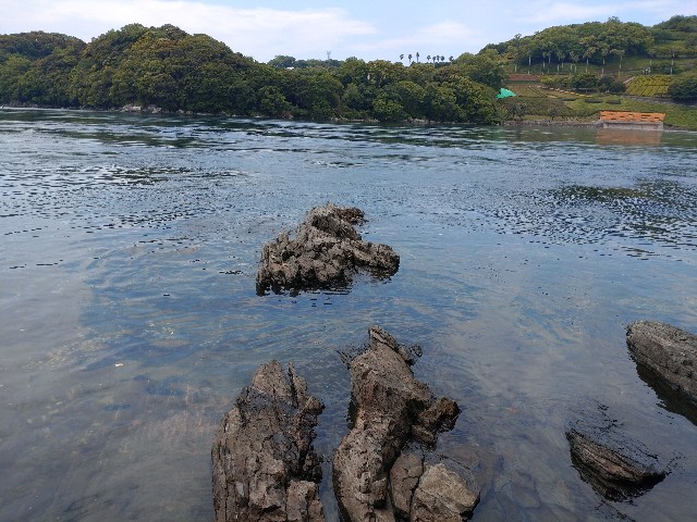 f:id:isohae:20250531161449j:image