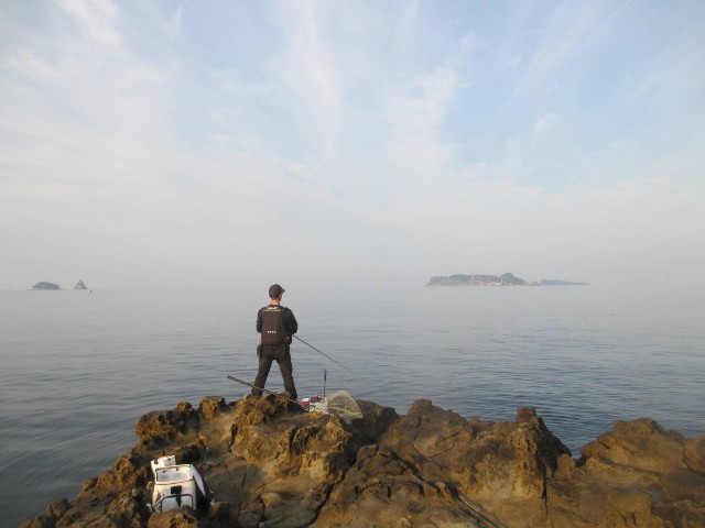 f:id:isohae:20250603081359j:image