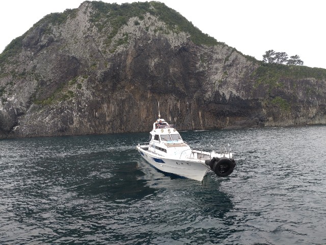 f:id:isohae:20250610083719j:image