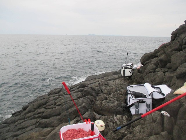 f:id:isohae:20250610110410j:image