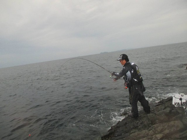 f:id:isohae:20250610110702j:image