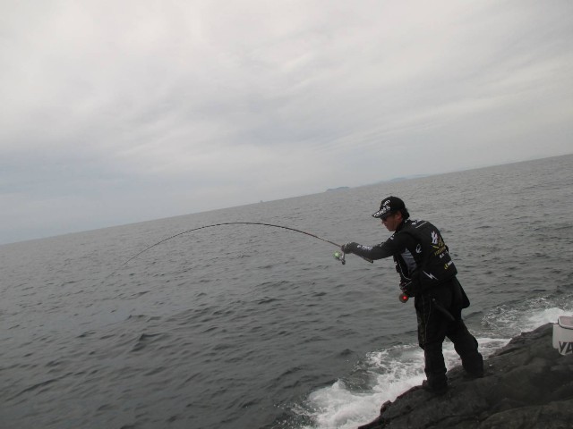 f:id:isohae:20250610110714j:image