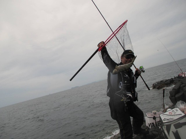 f:id:isohae:20250610110814j:image