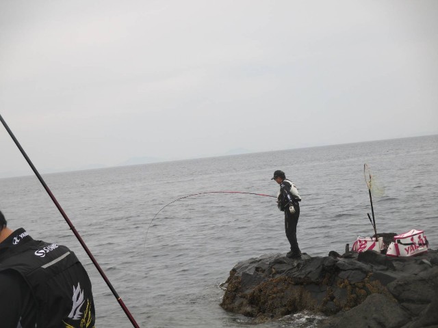f:id:isohae:20250610111112j:image