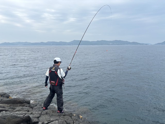 f:id:isohae:20250610193038j:image