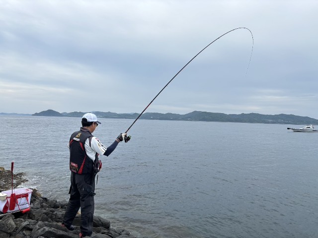 f:id:isohae:20250610193255j:image