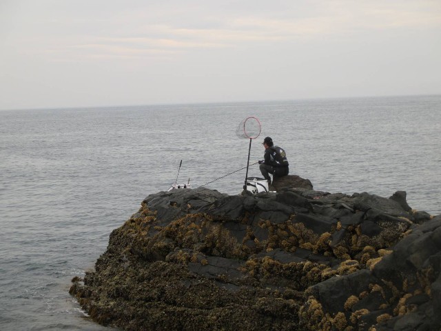 f:id:isohae:20250610194247j:image
