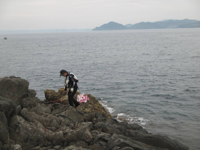 f:id:isohae:20250610194431j:image