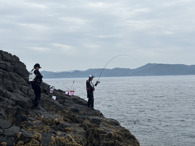 f:id:isohae:20250610195012j:image