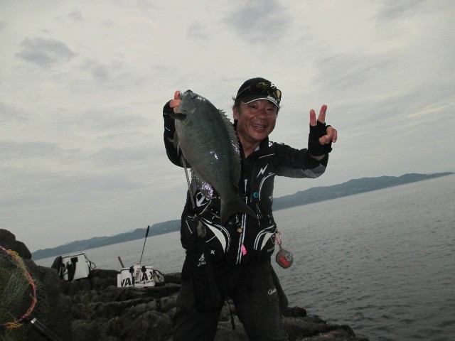 f:id:isohae:20250610195722j:image