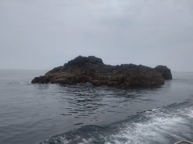 f:id:isohae:20250610201543j:image