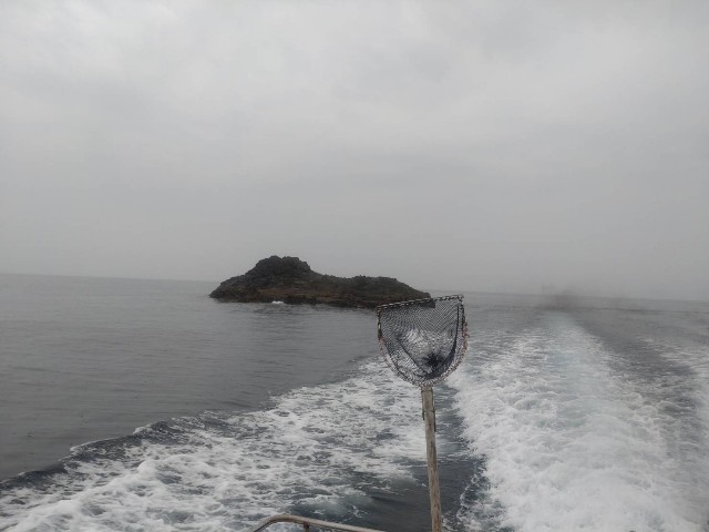 f:id:isohae:20250610201554j:image