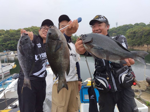 f:id:isohae:20250610201944j:image