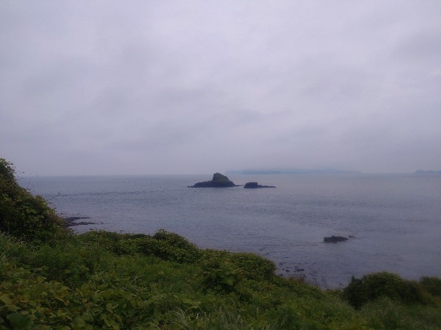 f:id:isohae:20250614183447j:image