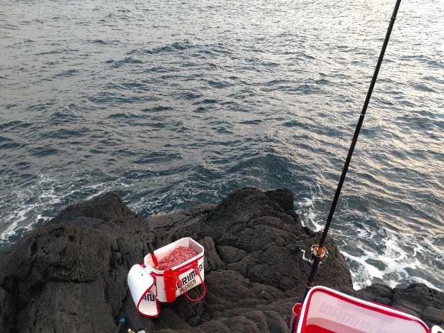 f:id:isohae:20250616113431j:image