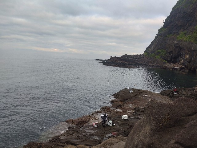 f:id:isohae:20250630073852j:image