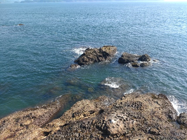 f:id:isohae:20250819102216j:image f:id:isohae:20250819102216j:image