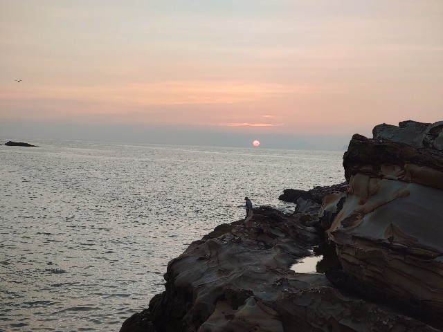 f:id:isohae:20250819102548j:image f:id:isohae:20250819102548j:image