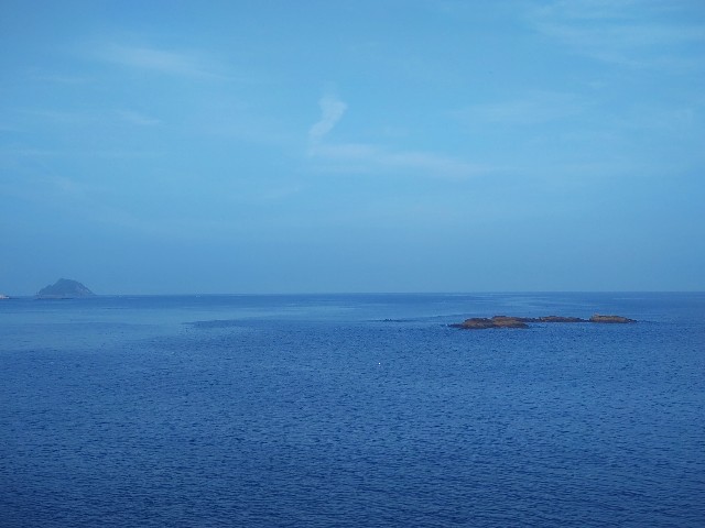 f:id:isohae:20250819193346j:image f:id:isohae:20250819193346j:image