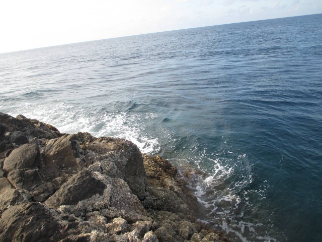 f:id:isohae:20250830153232j:image
