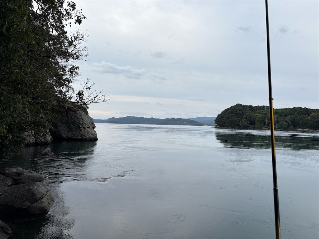 f:id:isohae:20251104065436j:image