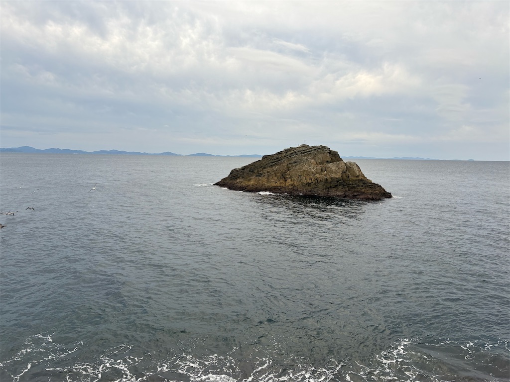 f:id:isohae:20251115205249j:image f:id:isohae:20251115205249j:image