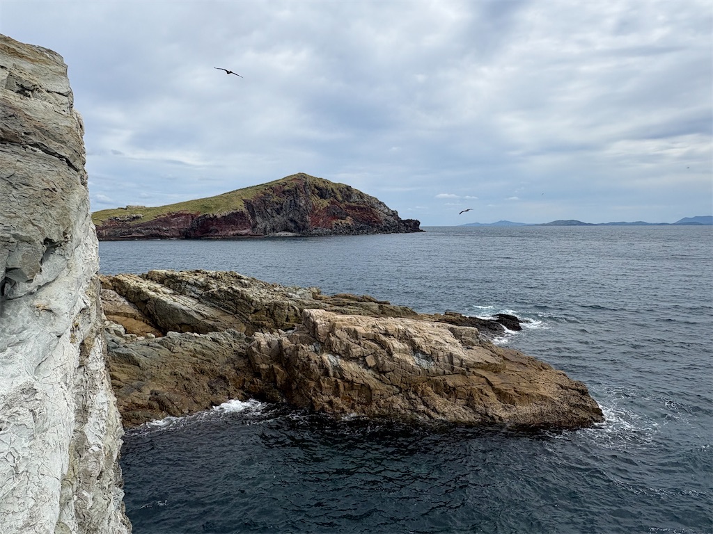 f:id:isohae:20251115205253j:image f:id:isohae:20251115205253j:image