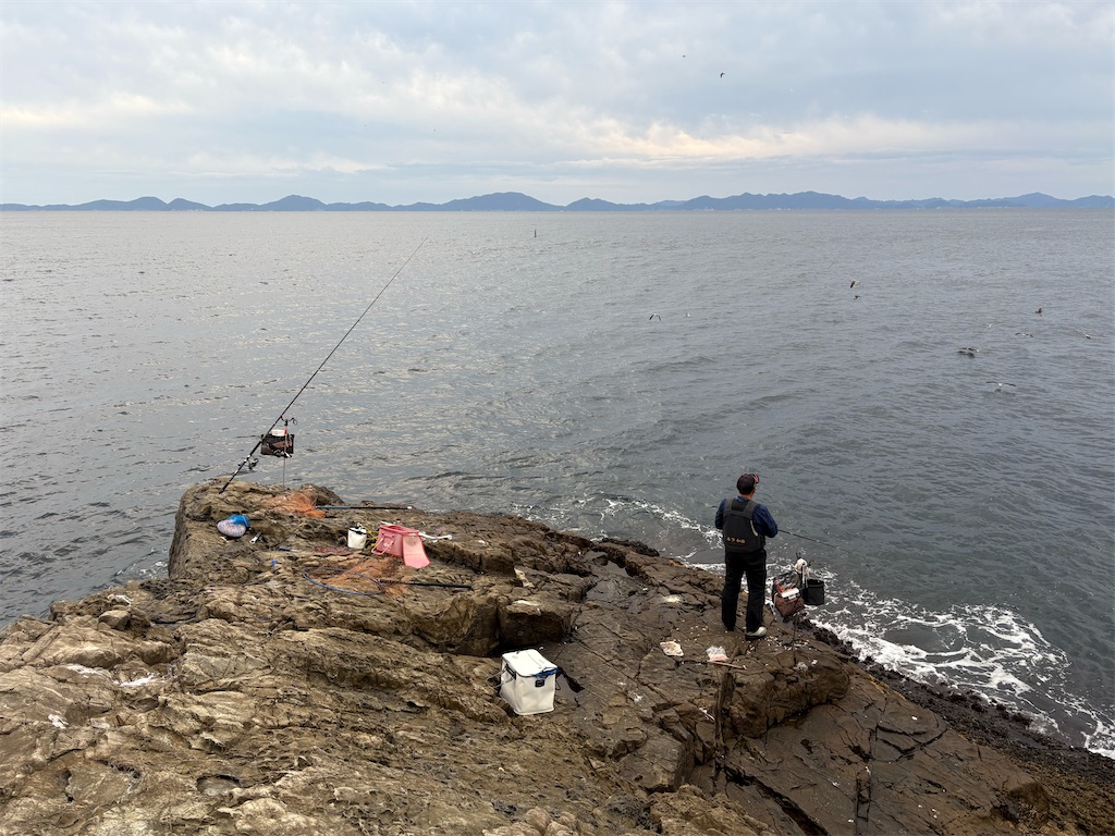 f:id:isohae:20251115205259j:image f:id:isohae:20251115205259j:image