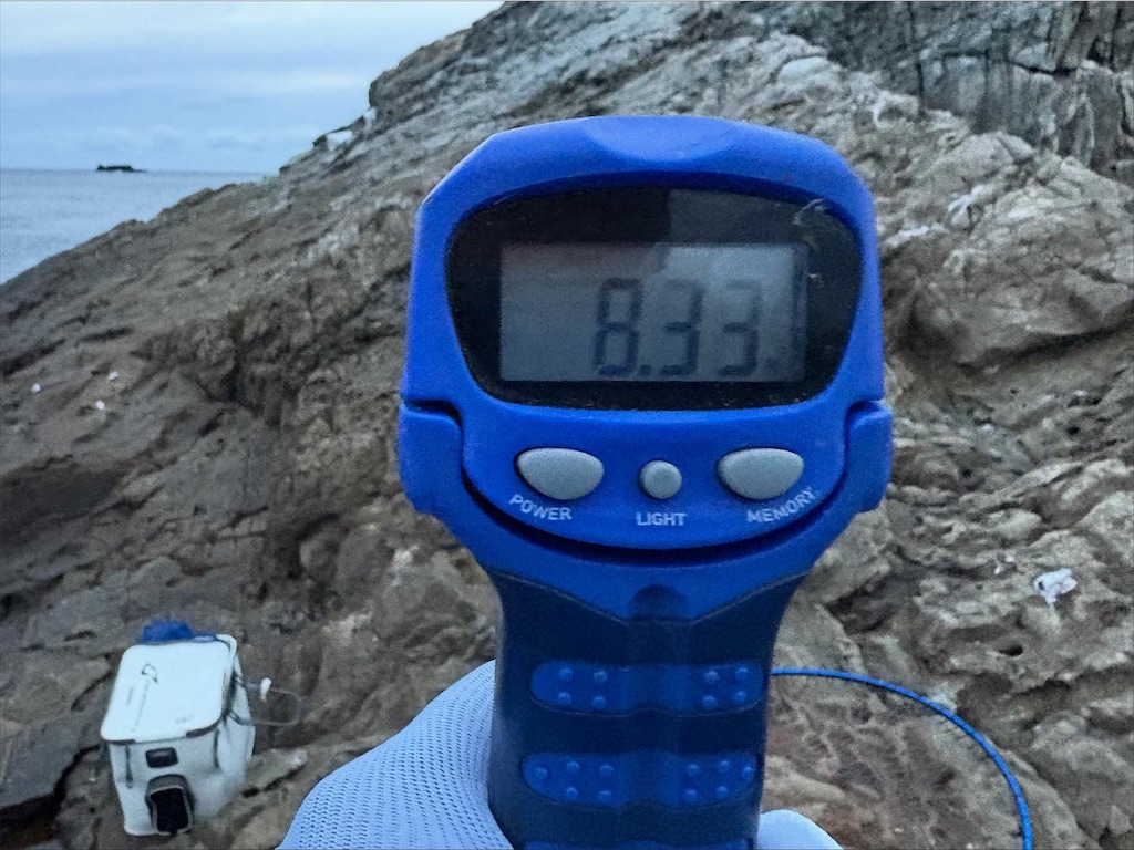 f:id:isohae:20251116024220j:image f:id:isohae:20251116024220j:image