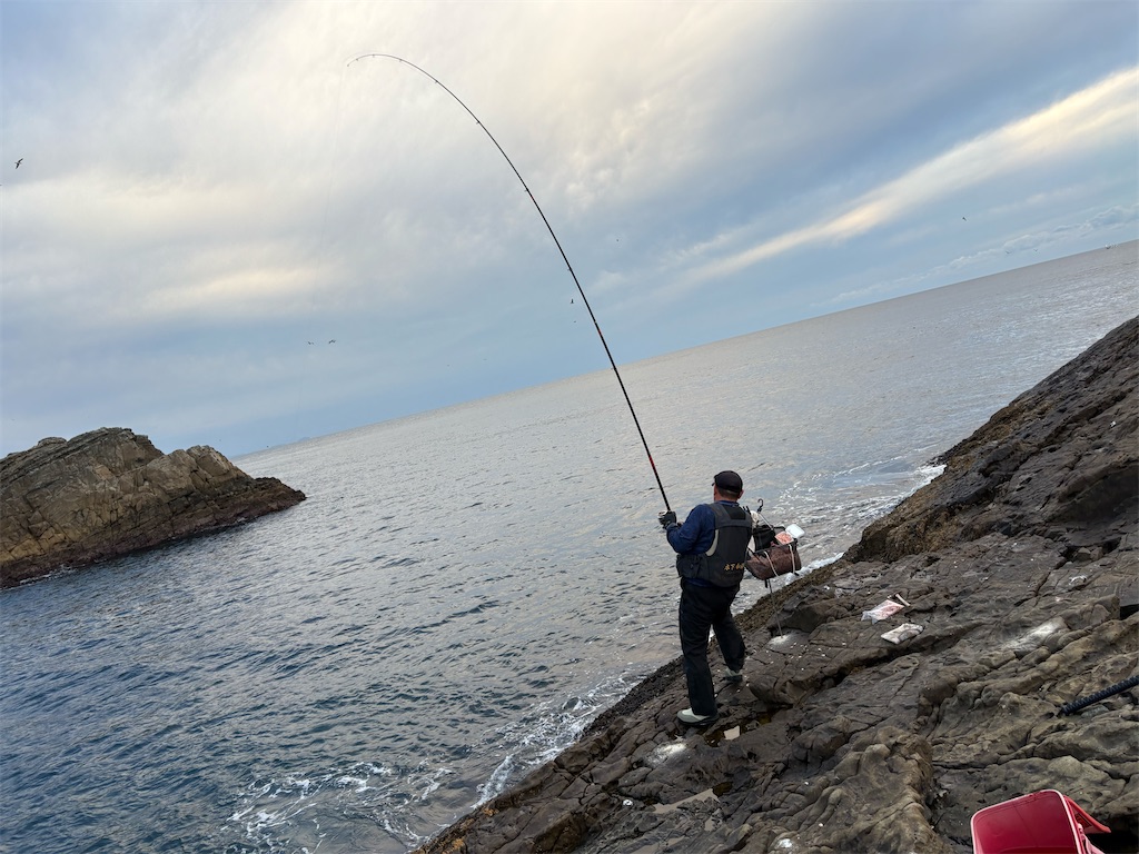 f:id:isohae:20251117072624j:image f:id:isohae:20251117072624j:image