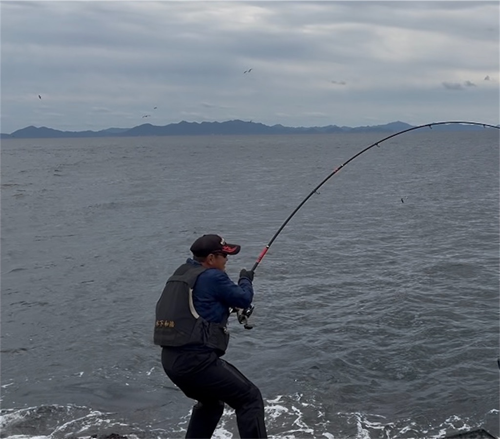 f:id:isohae:20251117073459j:image f:id:isohae:20251117073459j:image