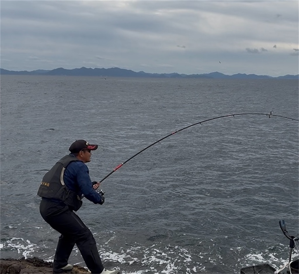 f:id:isohae:20251117073702j:image f:id:isohae:20251117073702j:image