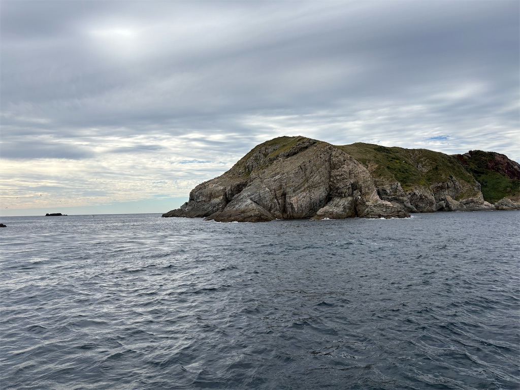 f:id:isohae:20251117103634j:image f:id:isohae:20251117103634j:image