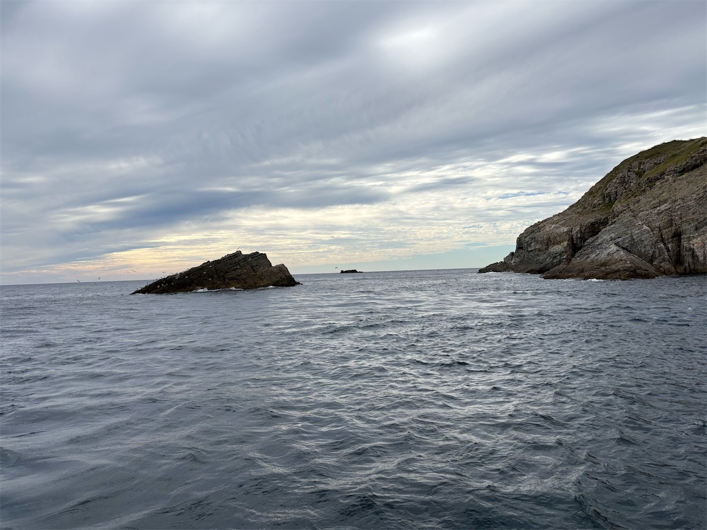 f:id:isohae:20251117103645j:image f:id:isohae:20251117103645j:image