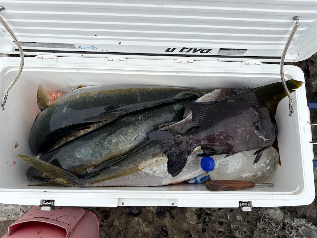 f:id:isohae:20251117103747j:image f:id:isohae:20251117103747j:image